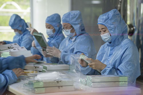 有綠、有技、有特色 鄉村振興新活力中的生物科技力量